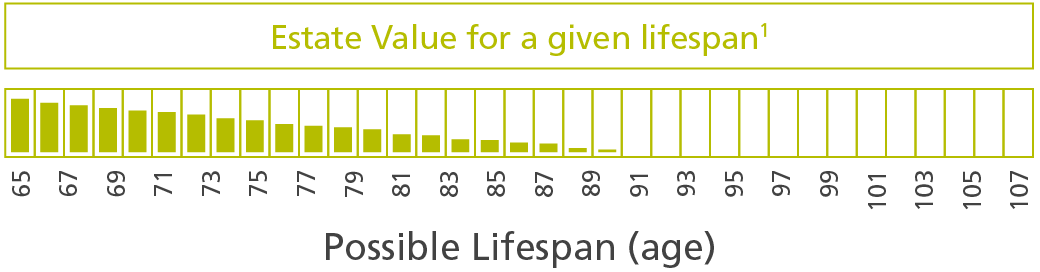 INSTO Estate Value  graphic